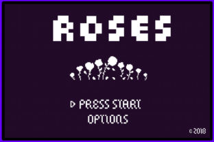 8 Bit Roses: A Nostalgic Display Font for Modern Publishers