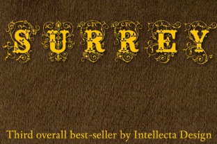 Enhancing Your Brand with Surrey: A Versatile Display Font